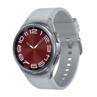 Samsung Galaxy Watch 6 Classic R955 43mm LTE - Silver